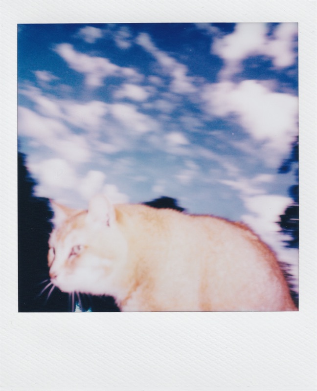 Photograph by Kehan Zhao