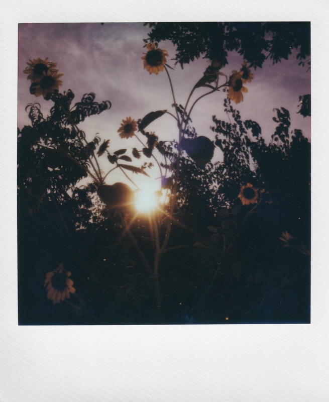 Photograph by Kehan Zhao
