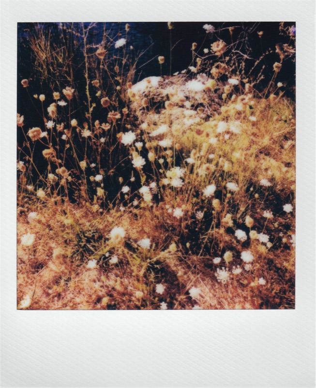 Photograph by Kehan Zhao