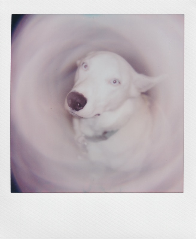 Photograph by Kehan Zhao