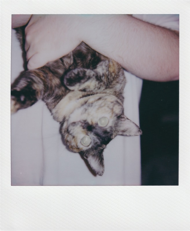Photograph by Kehan Zhao